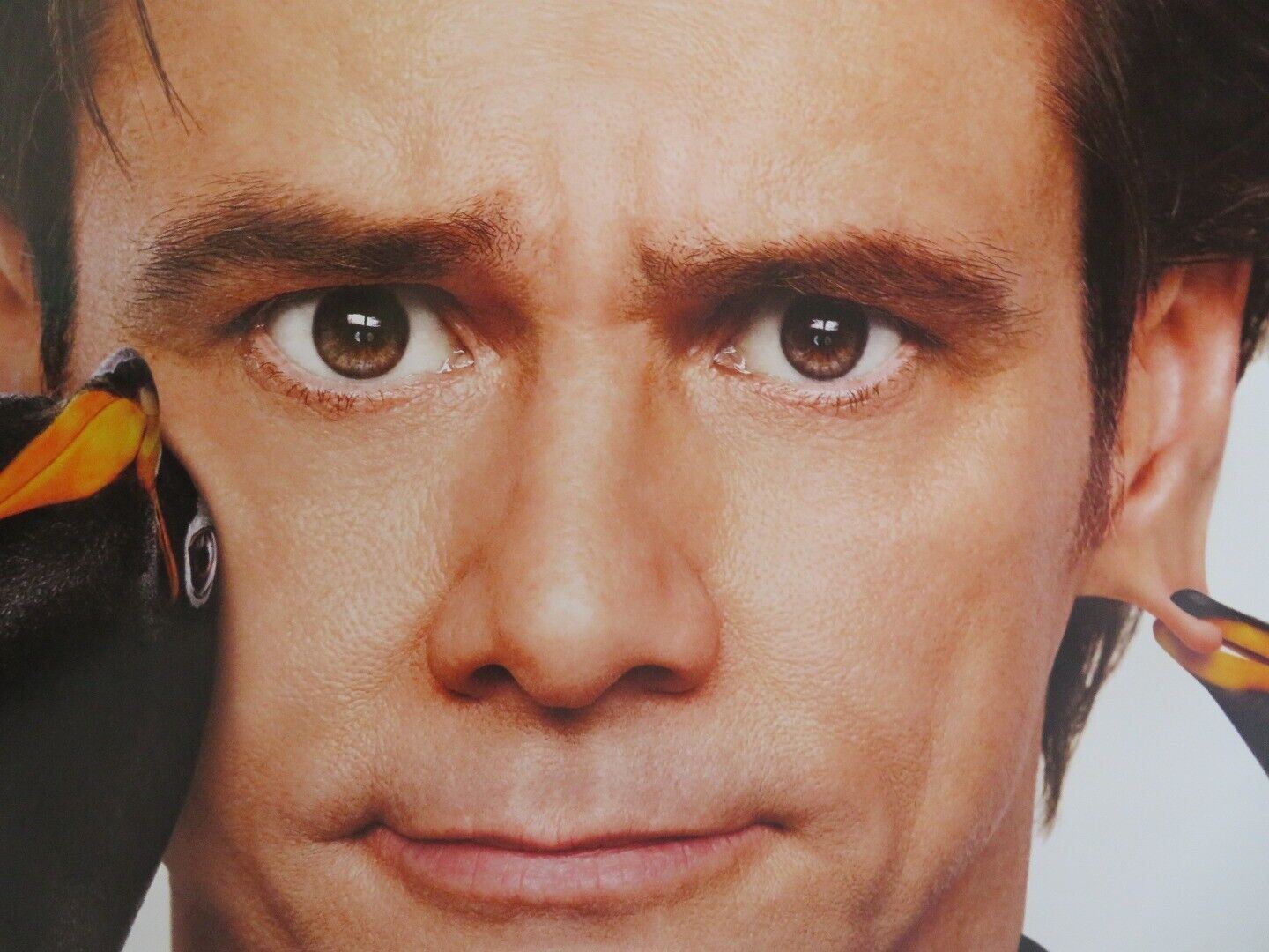 MR POPPERS PENGUINS US ONE SHEET ROLLED POSTER JIM CARREY CARLA GUGINO 2011 Movie posters