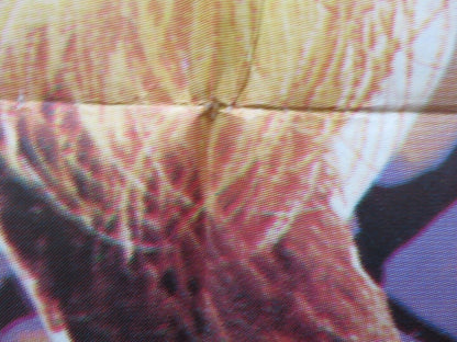 MURDERS IN THE RUE MORGUE FOLDED TURKISH ONE SHEET POSTER JASON ROBARDS HERBERT Movie posters