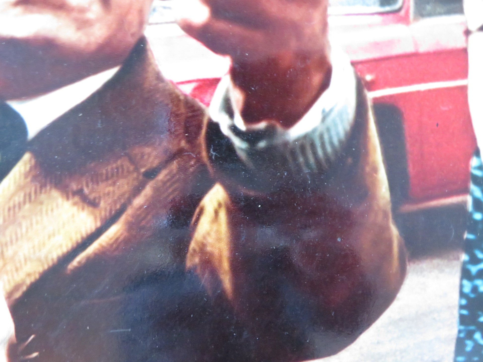 MURIEL - A ITALIAN FOTOBUSTA POSTER DELPHINE SEYRIG JEAN - PIERRE KERIEN 1963 Rendezvous Cinema Movie posters