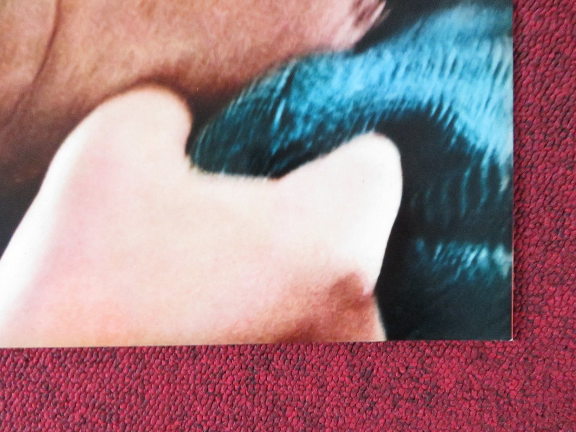 MURIEL - H ITALIAN FOTOBUSTA POSTER DELPHINE SEYRIG JEAN - PIERRE KERIEN 1963 Rendezvous Cinema Movie posters