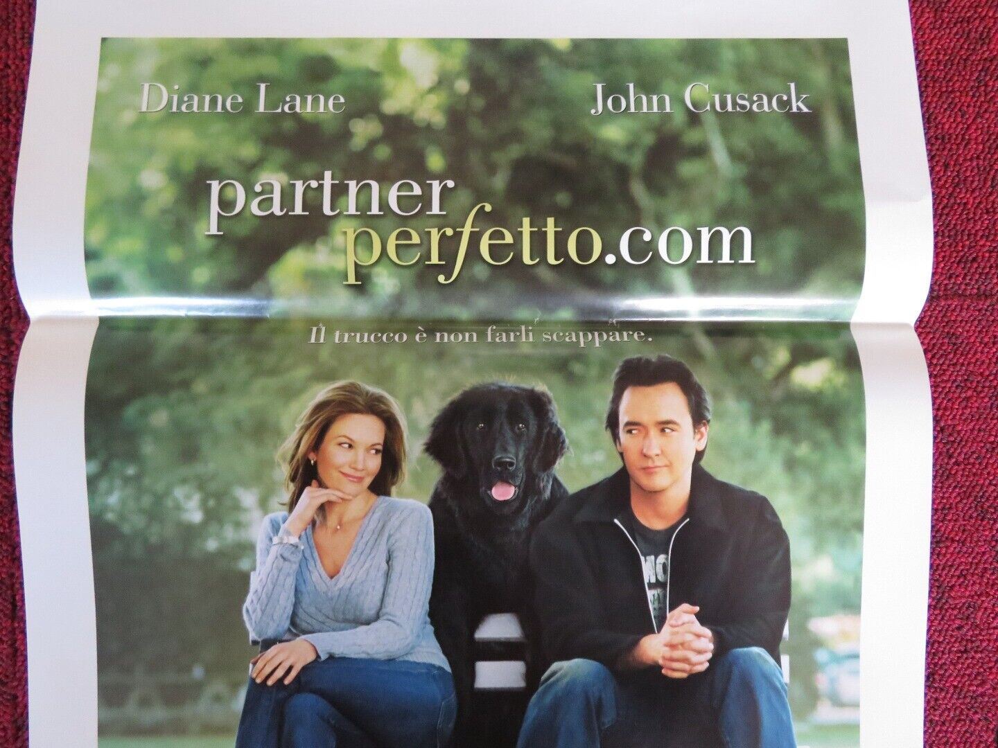 MUST LOVE DOGS ITALIAN LOCANDINA (27.5"x13") POSTER JOHN CUSACK DIANE LANE 2005 - Rendezvous Cinema
