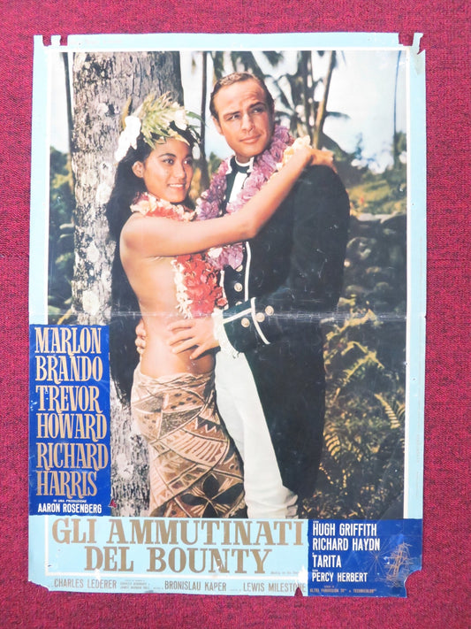 MUTINY ON THE BOUNTY - A ITALIAN FOTOBUSTA POSTER MARLON BRANDO T. HOWARD 1962 Rendezvous Cinema Movie posters