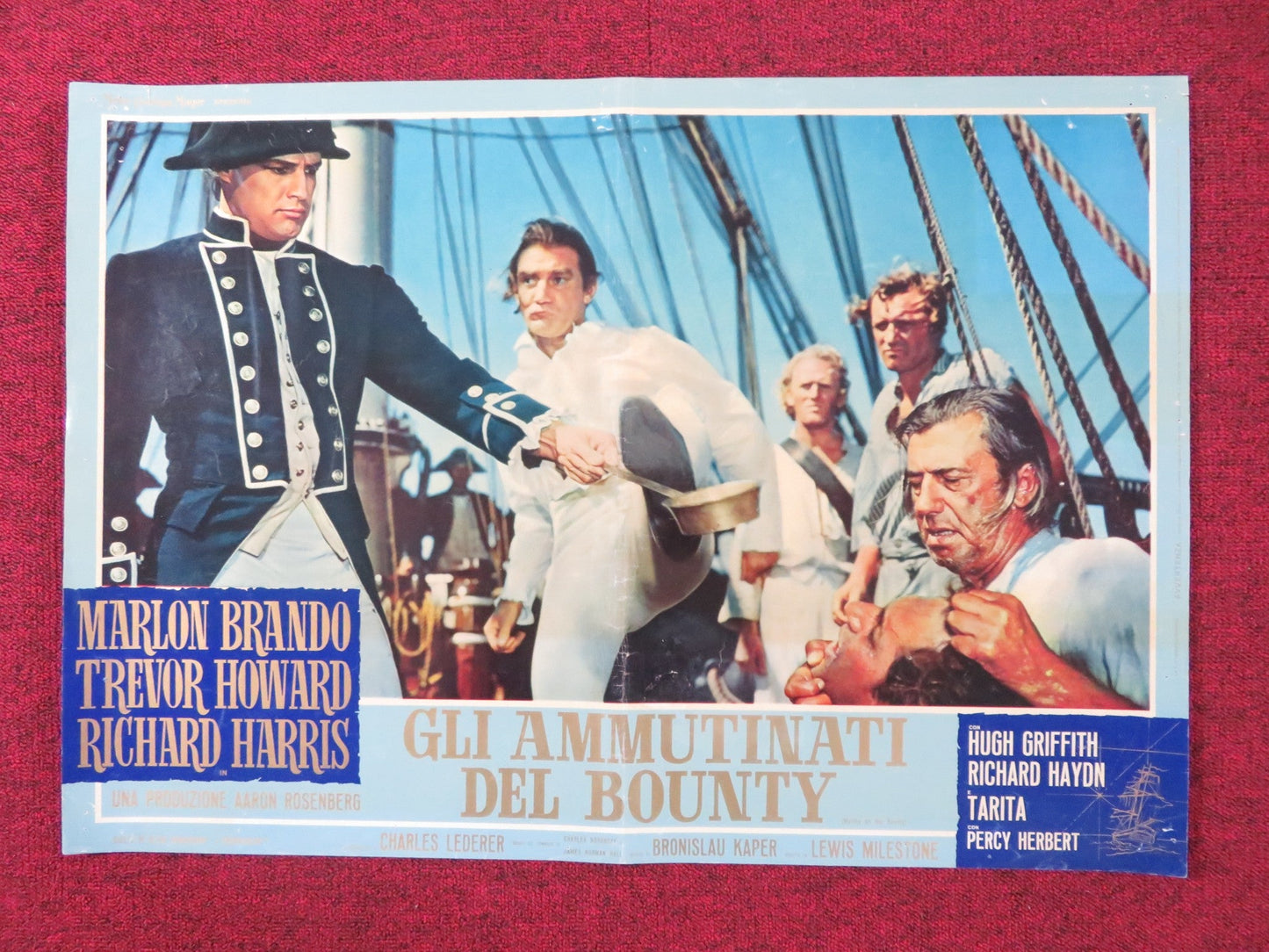 MUTINY ON THE BOUNTY - C ITALIAN FOTOBUSTA POSTER MARLON BRANDO T. HOWARD 1962 Rendezvous Cinema Movie posters