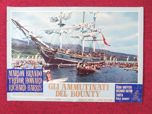 MUTINY ON THE BOUNTY - F ITALIAN FOTOBUSTA POSTER MARLON BRANDO T. HOWARD 1962 Rendezvous Cinema Movie posters