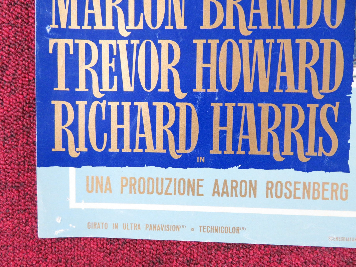 MUTINY ON THE BOUNTY - F ITALIAN FOTOBUSTA POSTER MARLON BRANDO T. HOWARD 1962 Rendezvous Cinema Movie posters