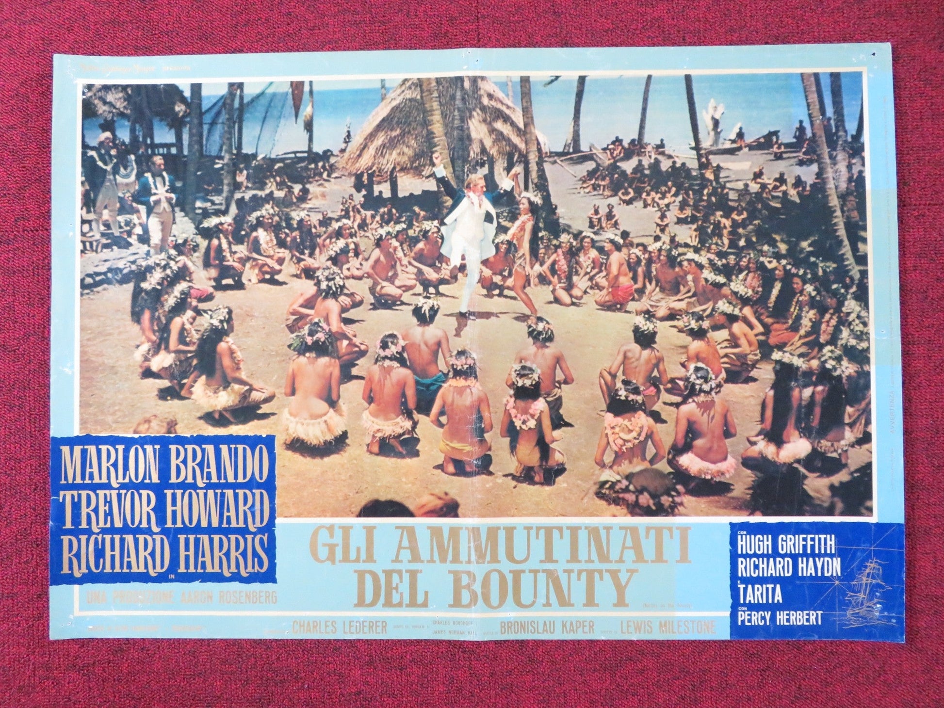 MUTINY ON THE BOUNTY - H ITALIAN FOTOBUSTA POSTER MARLON BRANDO T. HOWARD 1962 Rendezvous Cinema Movie posters