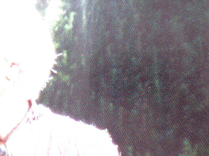 MY AFTERNOONS WITH MARGUERITTE UK QUAD ROLLED POSTER GERARD DEPARDIEU 2010 Rendezvous Cinema Movie posters