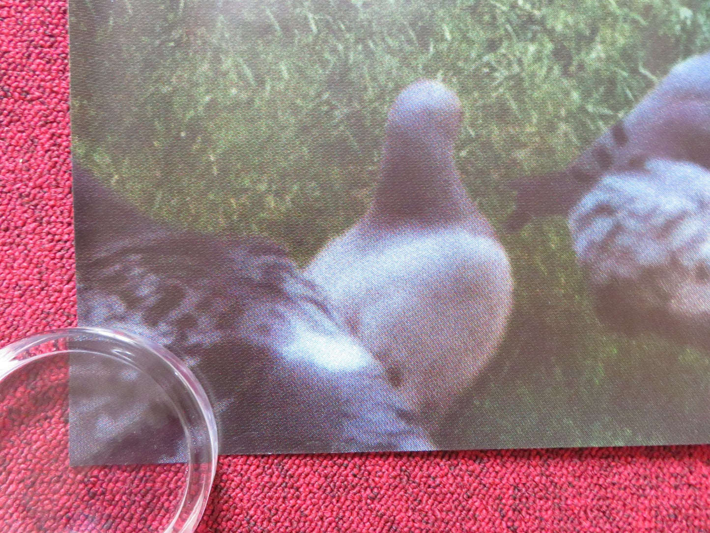 MY AFTERNOONS WITH MARGUERITTE UK QUAD ROLLED POSTER GERARD DEPARDIEU 2010 Rendezvous Cinema Movie posters