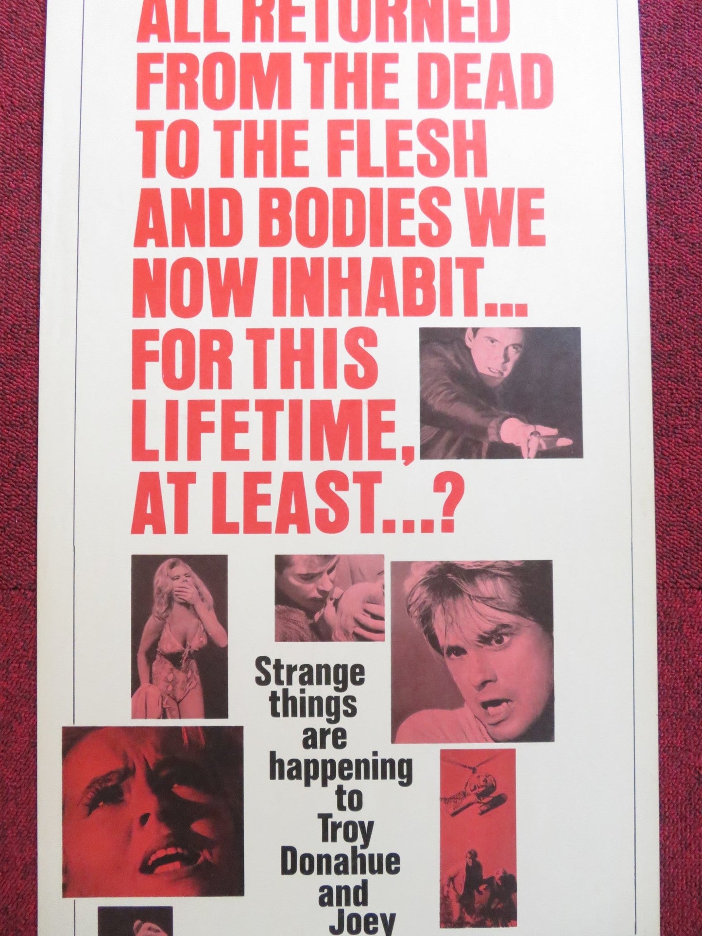 MY BLOOD RUNS COLD US INSERT (14"x 36") POSTER TROY DONAHUE JOEY HEATHERTON 1965 Rendezvous Cinema Movie posters