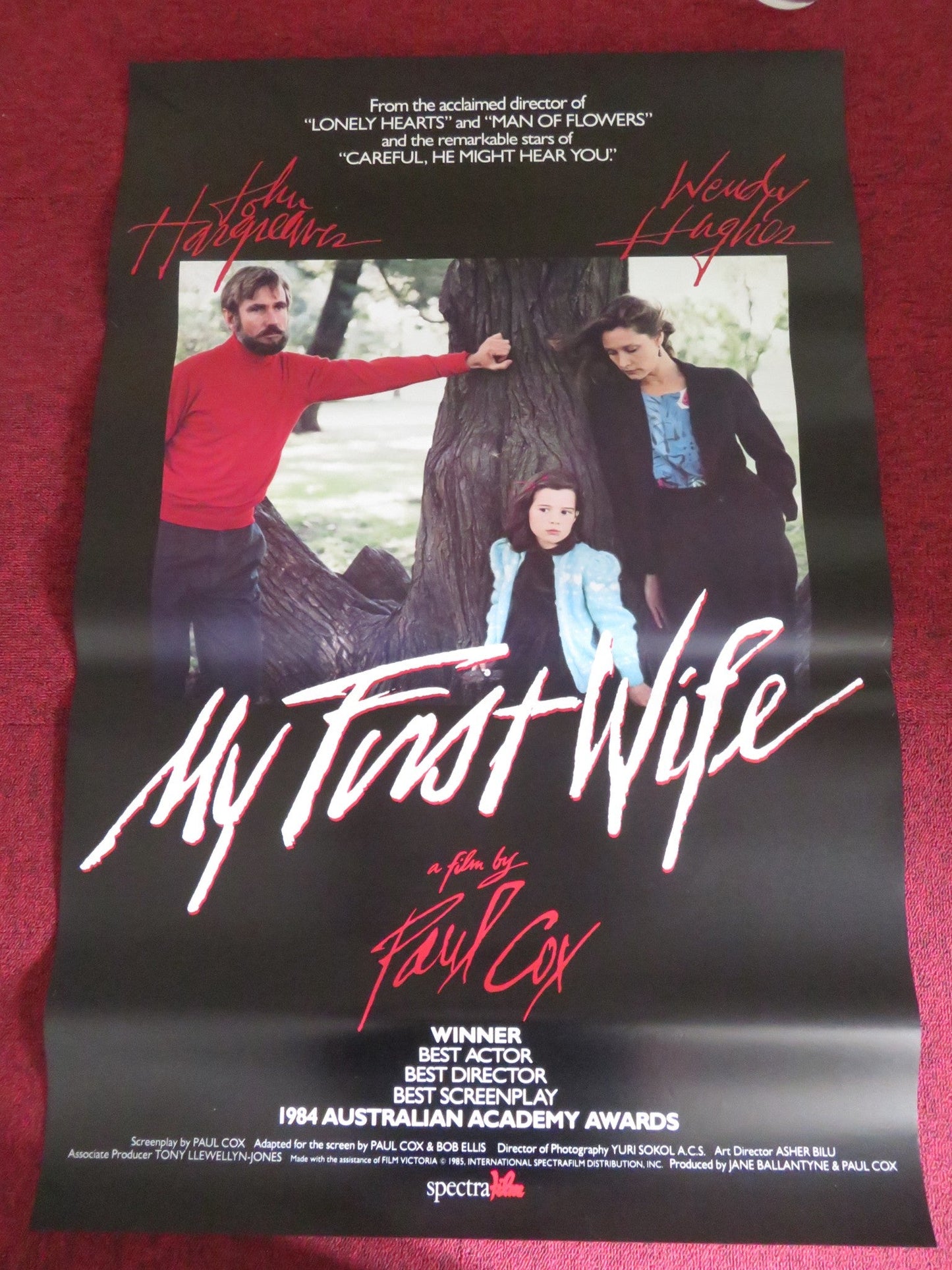 MY FIRST WIFE US ONE SHEET ROLLED POSTER JOHN HARGREAVES WENDY HUGHES 1984 Rendezvous Cinema Movie posters