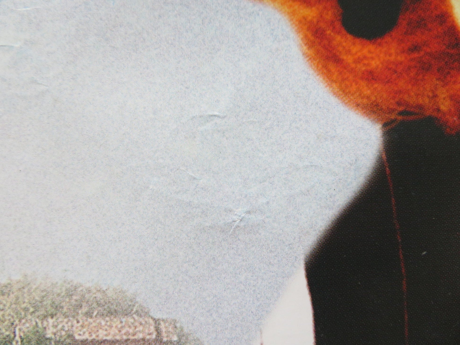 MY HOUSE IN UMBRIA UK QUAD (30"x 40") ROLLED POSTER MAGGIE SMITH R. BARKER 2003 Rendezvous Cinema Movie posters