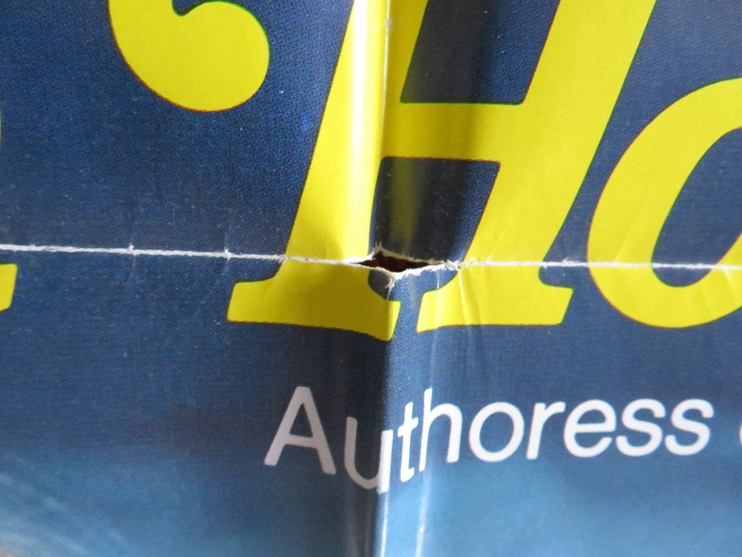 MY PLEASURE IS MY BUSINESS FOLDED US ONE SHEET POSTER XAVIERA HOLLANDER 1974 Rendezvous Cinema Movie posters