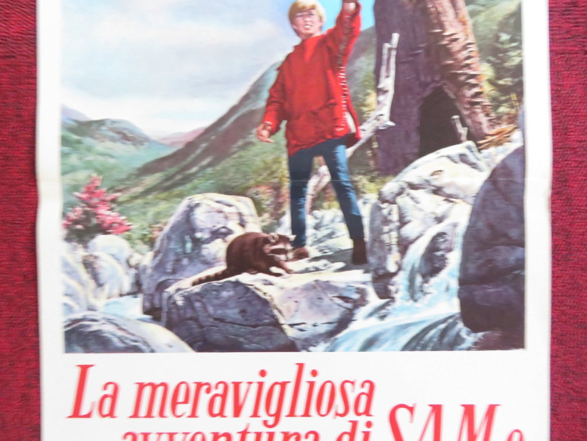 MY SIDE OF THE MOUNTAIN ITALIAN LOCANDINA POSTER TEDDY ECCLES T. BIKEL 1970 Rendezvous Cinema Movie posters