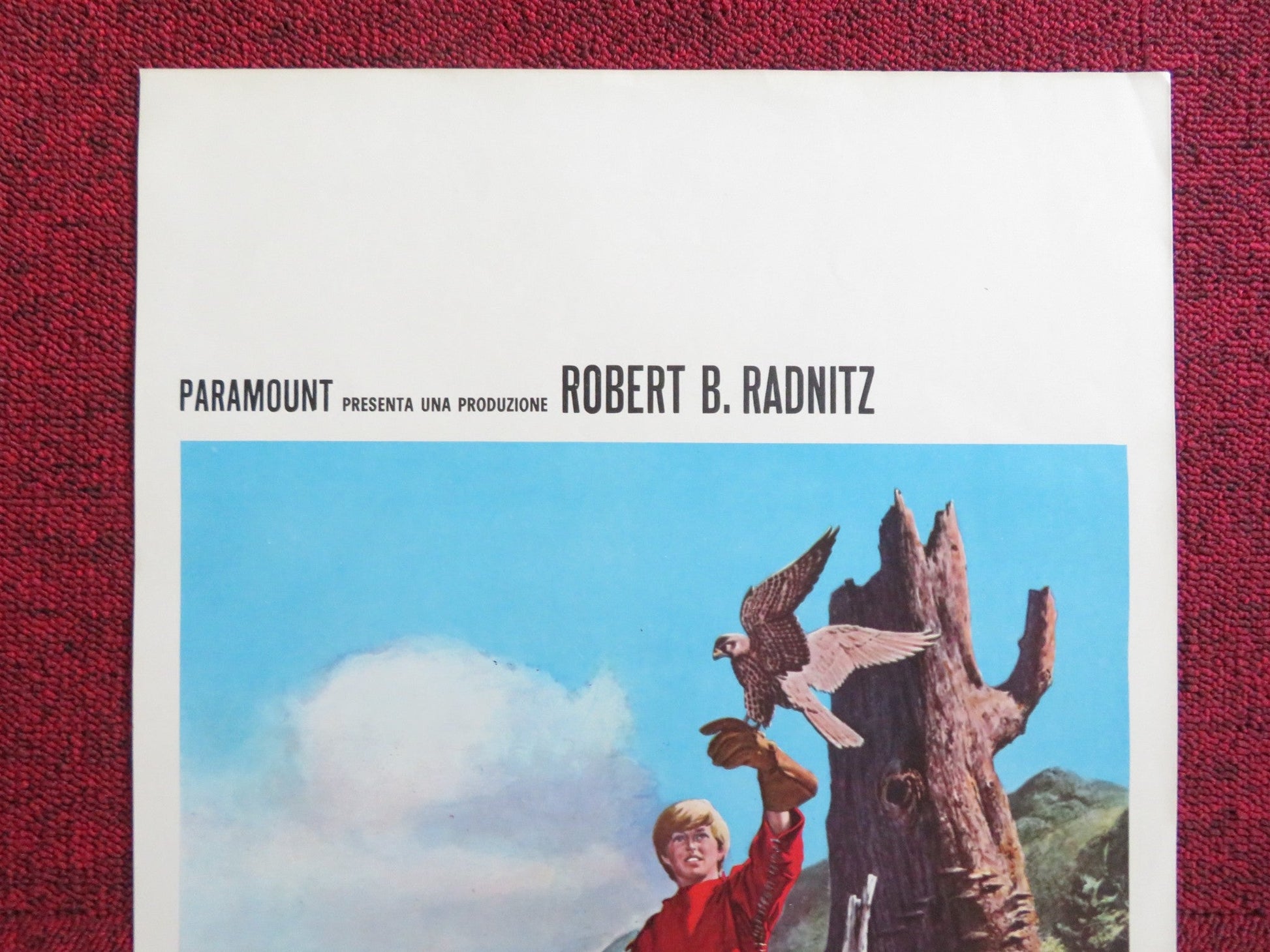 MY SIDE OF THE MOUNTAIN ITALIAN LOCANDINA POSTER TEDDY ECCLES T. BIKEL 1970 Rendezvous Cinema Movie posters