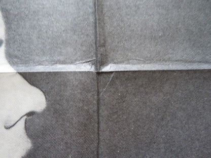MY SISTER MY LOVE FOLDED ARGENTINA ONE SHEET POSTER BIBI ANDERSSON JARL KULLE - Rendezvous Cinema