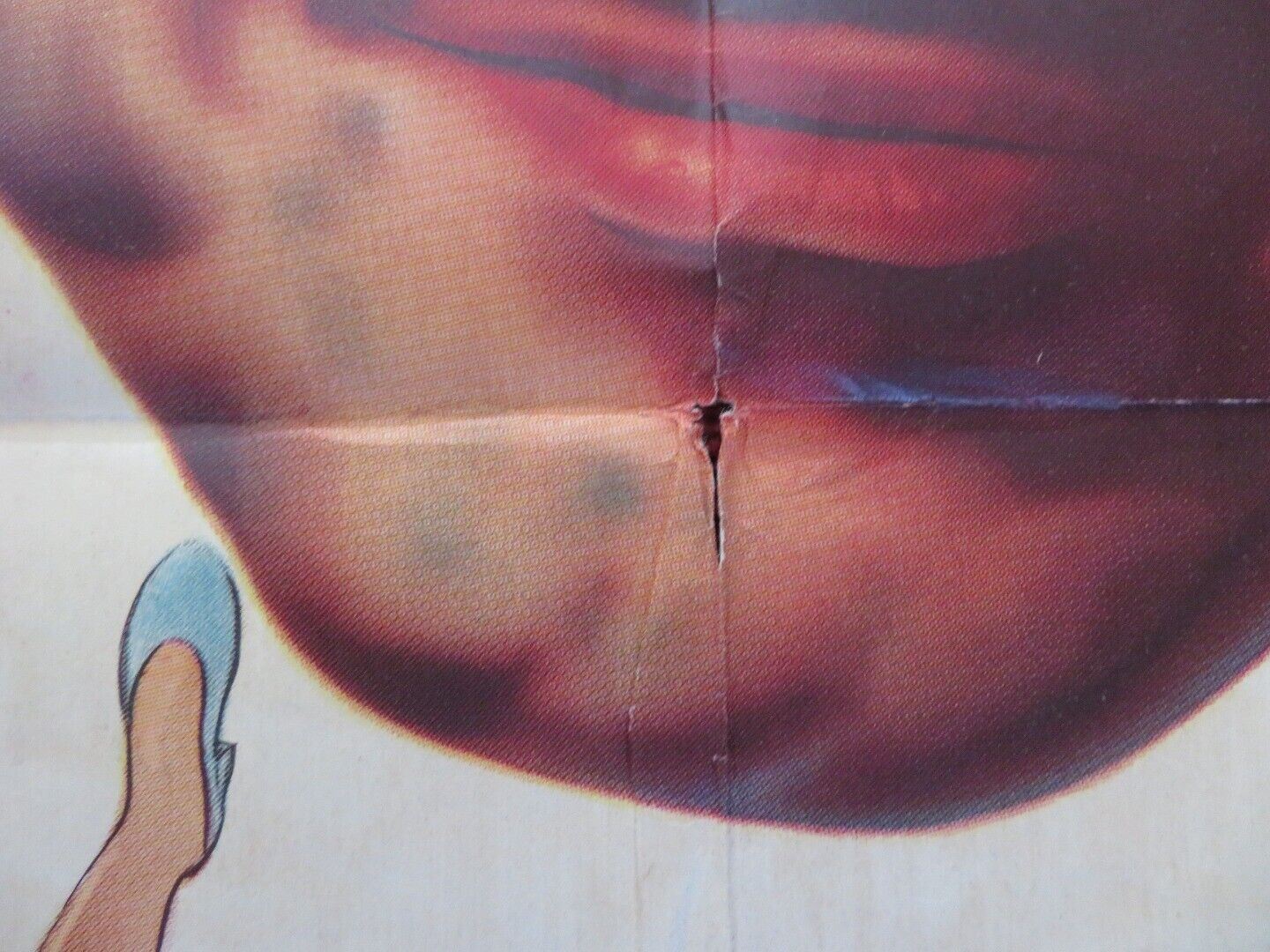 NADANDO EM DINHEIRO ARGENTINA ONE SHEET POSTER AMACIO MAZZAROPPI LUDY VELOSO - Rendezvous Cinema