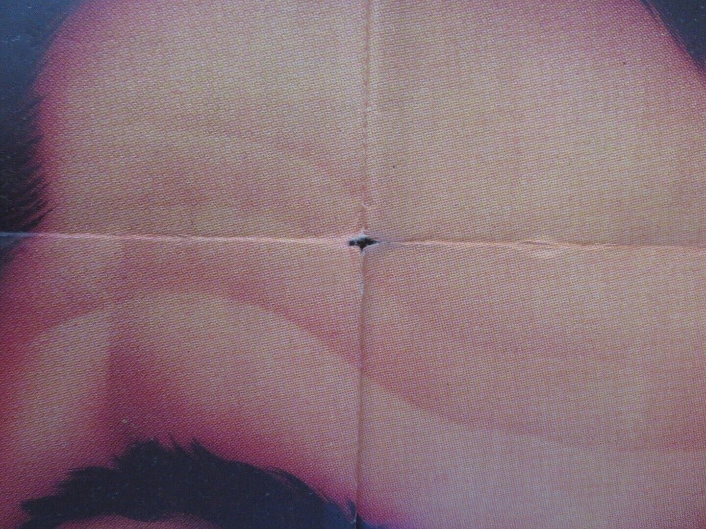 NADANDO EM DINHEIRO ARGENTINA ONE SHEET POSTER AMACIO MAZZAROPPI LUDY VELOSO - Rendezvous Cinema