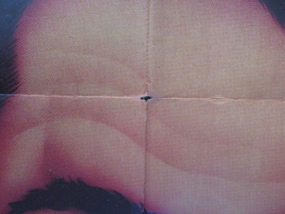 NADANDO EM DINHEIRO ARGENTINA ONE SHEET POSTER AMACIO MAZZAROPPI LUDY VELOSO - Rendezvous Cinema