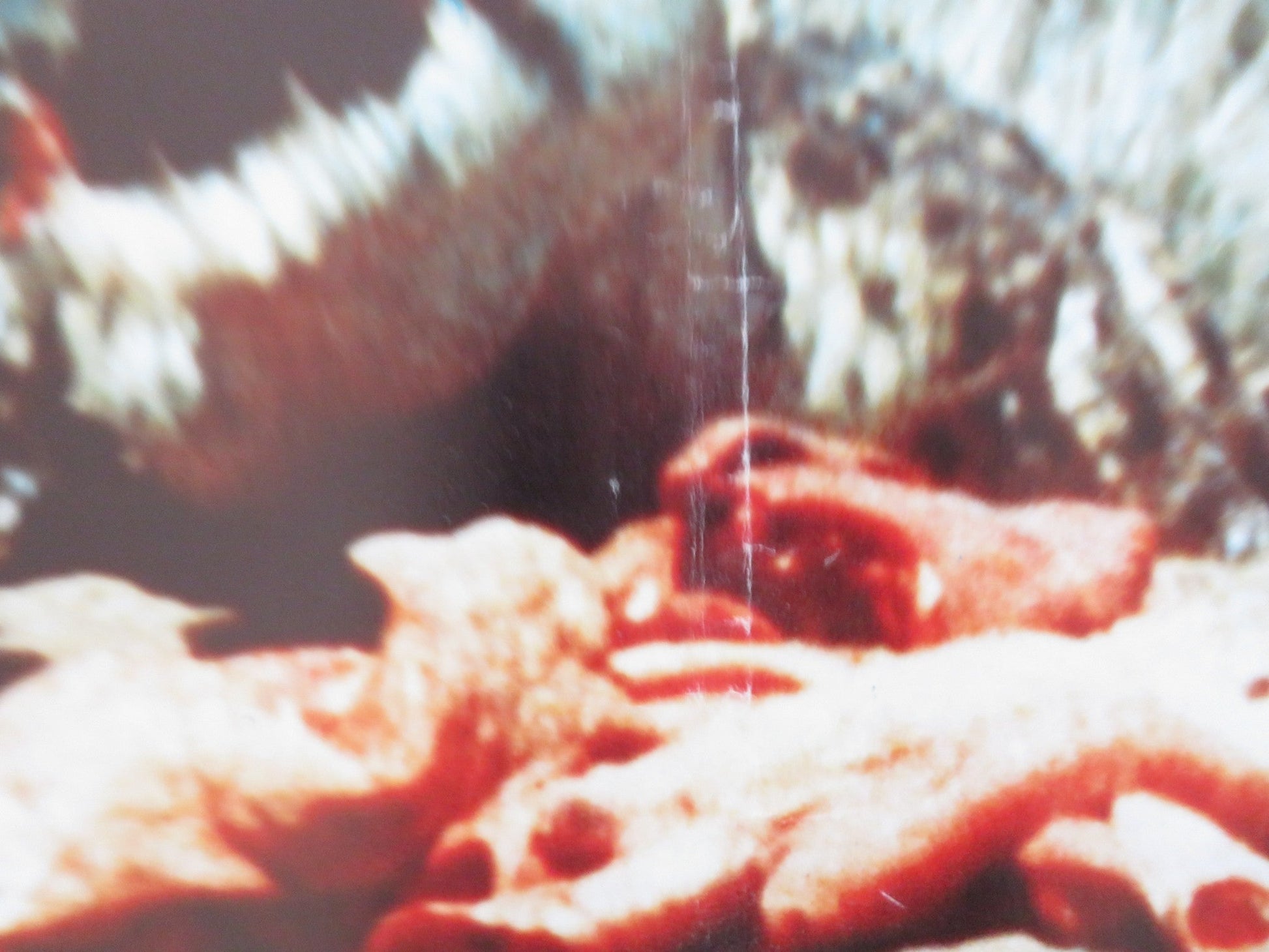 NAKED AND CRUEL - B ITALIAN FOTOBUSTA POSTER ALBERT THOMAS 1984 Rendezvous Cinema Movie posters