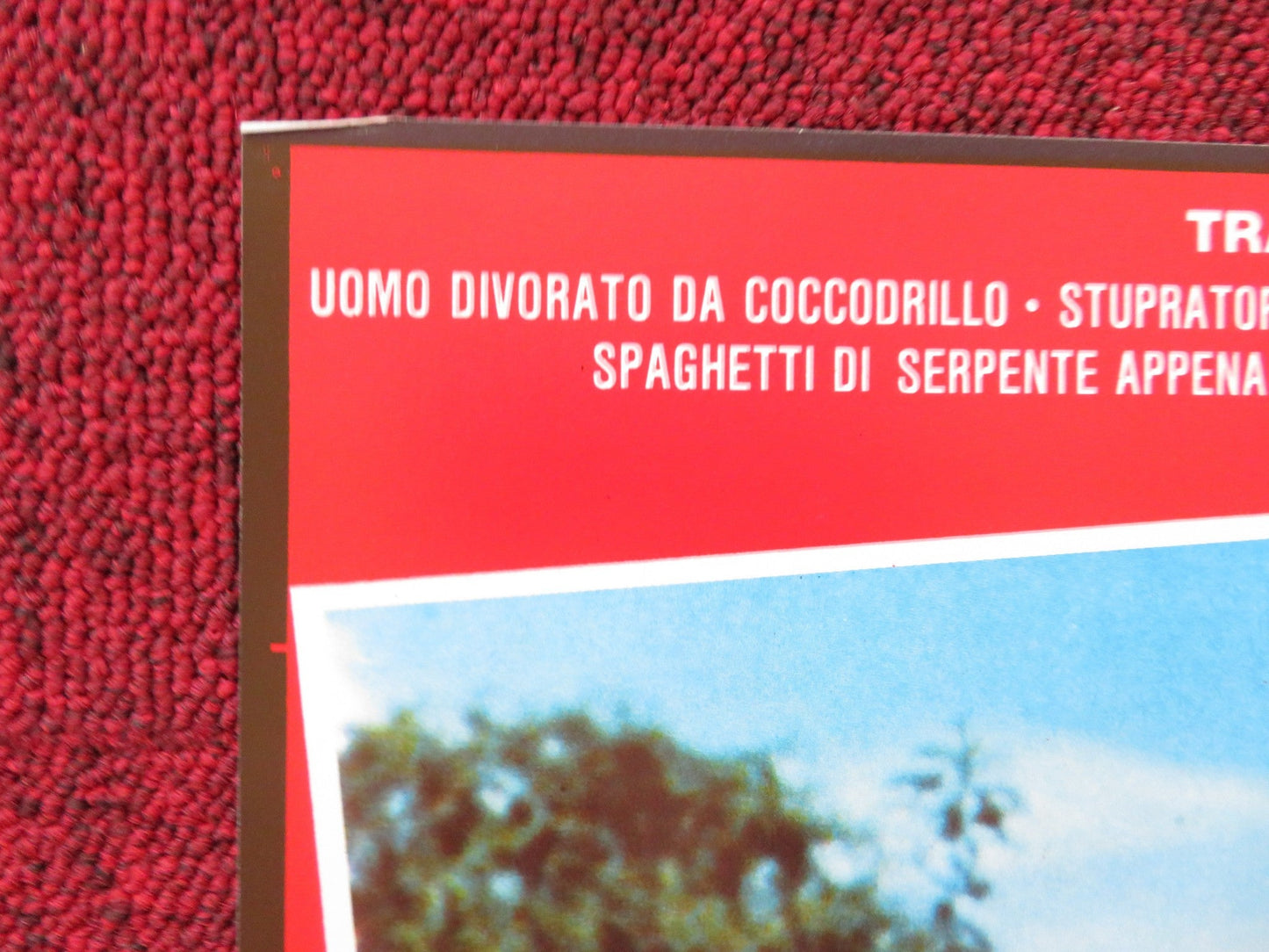 NAKED AND CRUEL - B ITALIAN FOTOBUSTA POSTER ALBERT THOMAS 1984 Rendezvous Cinema Movie posters