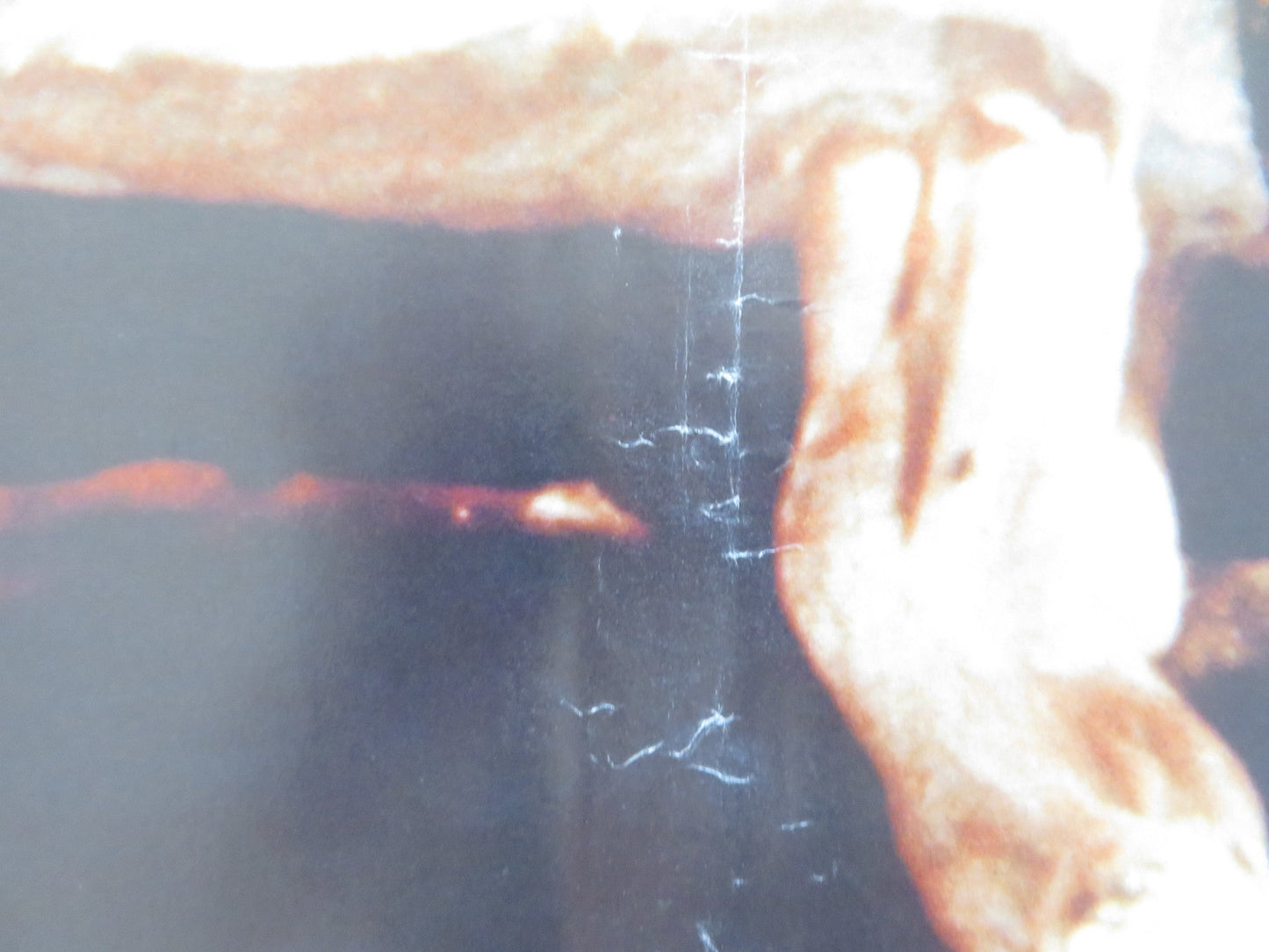 NAKED AND CRUEL - D ITALIAN FOTOBUSTA POSTER ALBERT THOMAS 1984 Rendezvous Cinema Movie posters