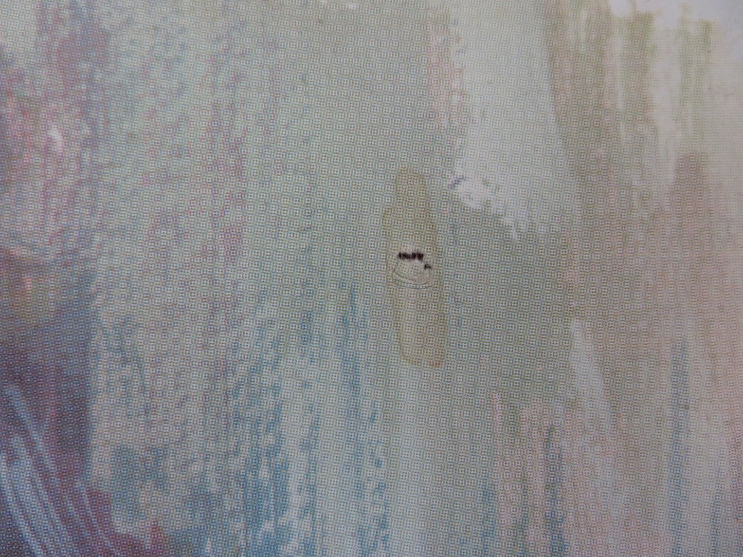 NAKED PREY SPANISH POSTER FRANCO NERO CORRINE CLERY 1977 Rendezvous Cinema Movie posters