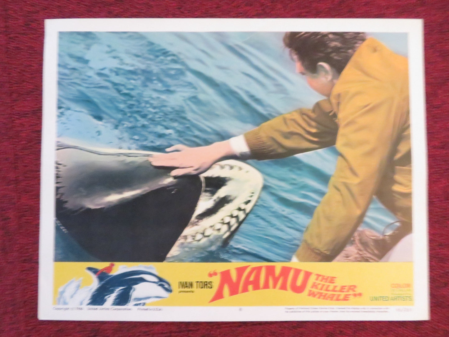 NAMU, THE KILLER WHALE US LOBBY CARD FULL SET ROBERT LANSING JOHN ANDERSON 1966 Rendezvous Cinema Movie posters