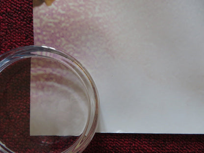 NANCY DREW UK QUAD (30"x 40") ROLLED POSTER EMMA ROBERTS CRAIG GELLIS 2007 Rendezvous Cinema Movie posters