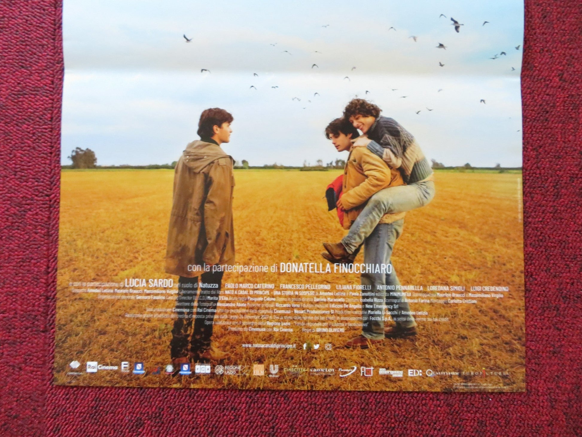 NATO A CASAL DI PRINCIPE ITALIAN LOCANDINA POSTER BRUNI OLIVERO 2017 Rendezvous Cinema Movie posters