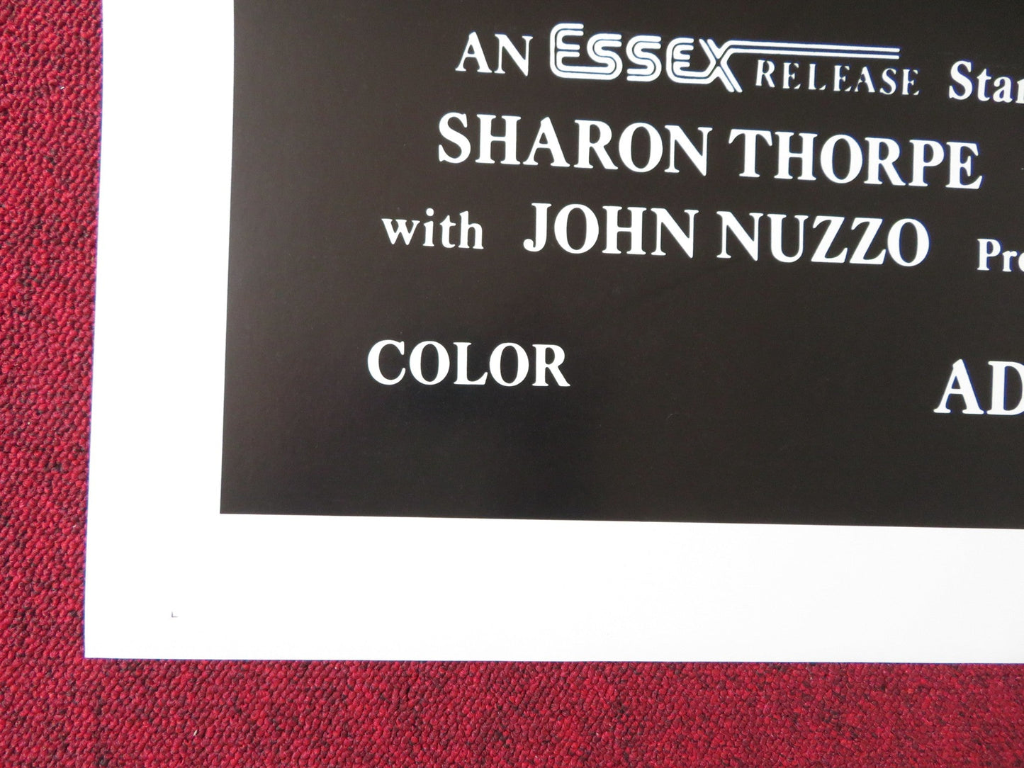 NAUGHTY NOTIONS US TRI FOLDED ONE SHEET ROLLED POSTER SHARON THORPE AL POE 1976 Rendezvous Cinema Movie posters