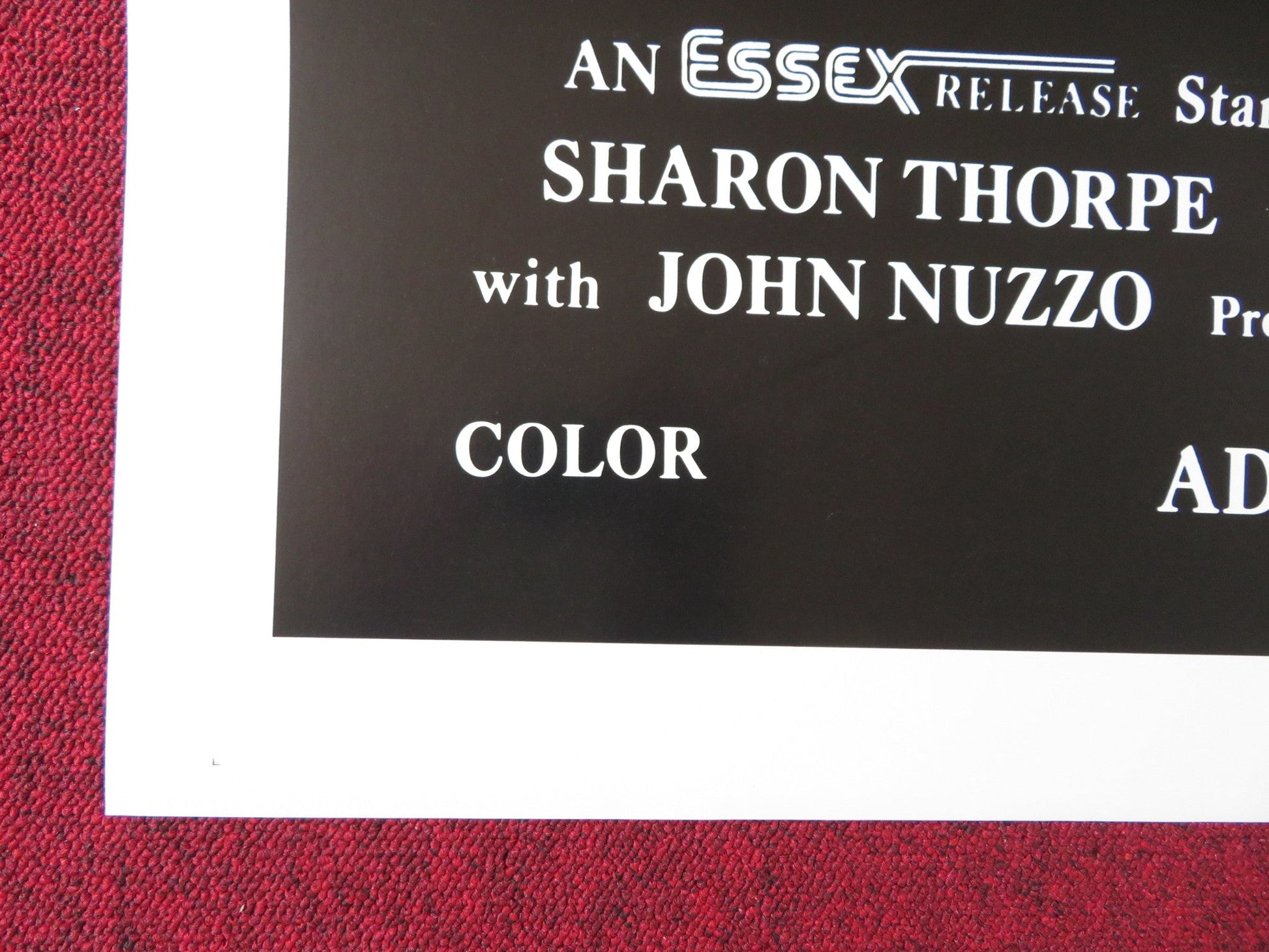 NAUGHTY NOTIONS US TRI FOLDED ONE SHEET ROLLED POSTER SHARON THORPE AL POE 1976 Rendezvous Cinema Movie posters