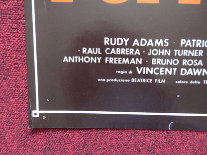 NERONE E POPPEA - A FOTOBUSTA POSTER RUDY ADAMS PATRICIA DEREK 1982 Rendezvous Cinema Movie posters