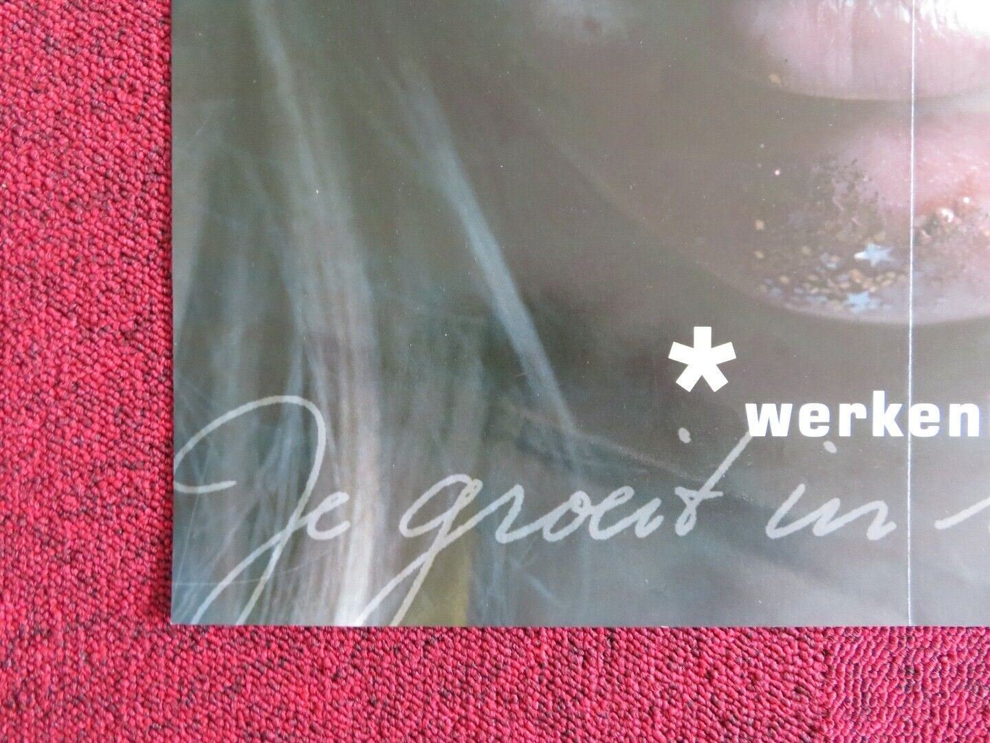 NETHERLANDS MINISTRY OF EDUCATION CULTURE AND SCIENCE POSTER (16.5"x 22.5") -E - Rendezvous Cinema