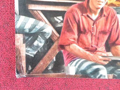 NEVADA SMITH - F ITALIAN FOTOBUSTA POSTER STEVE MCQUEEN KARL MALDEN 1966 Rendezvous Cinema Movie posters