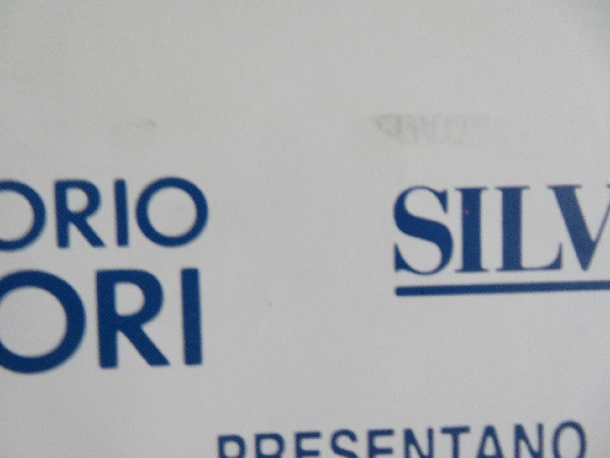 NEW WAVE ITALIAN 2 FOGLIO POSTER ALAIN DELON DOMIZIANA GIORDANO 1990 Rendezvous Cinema Movie posters