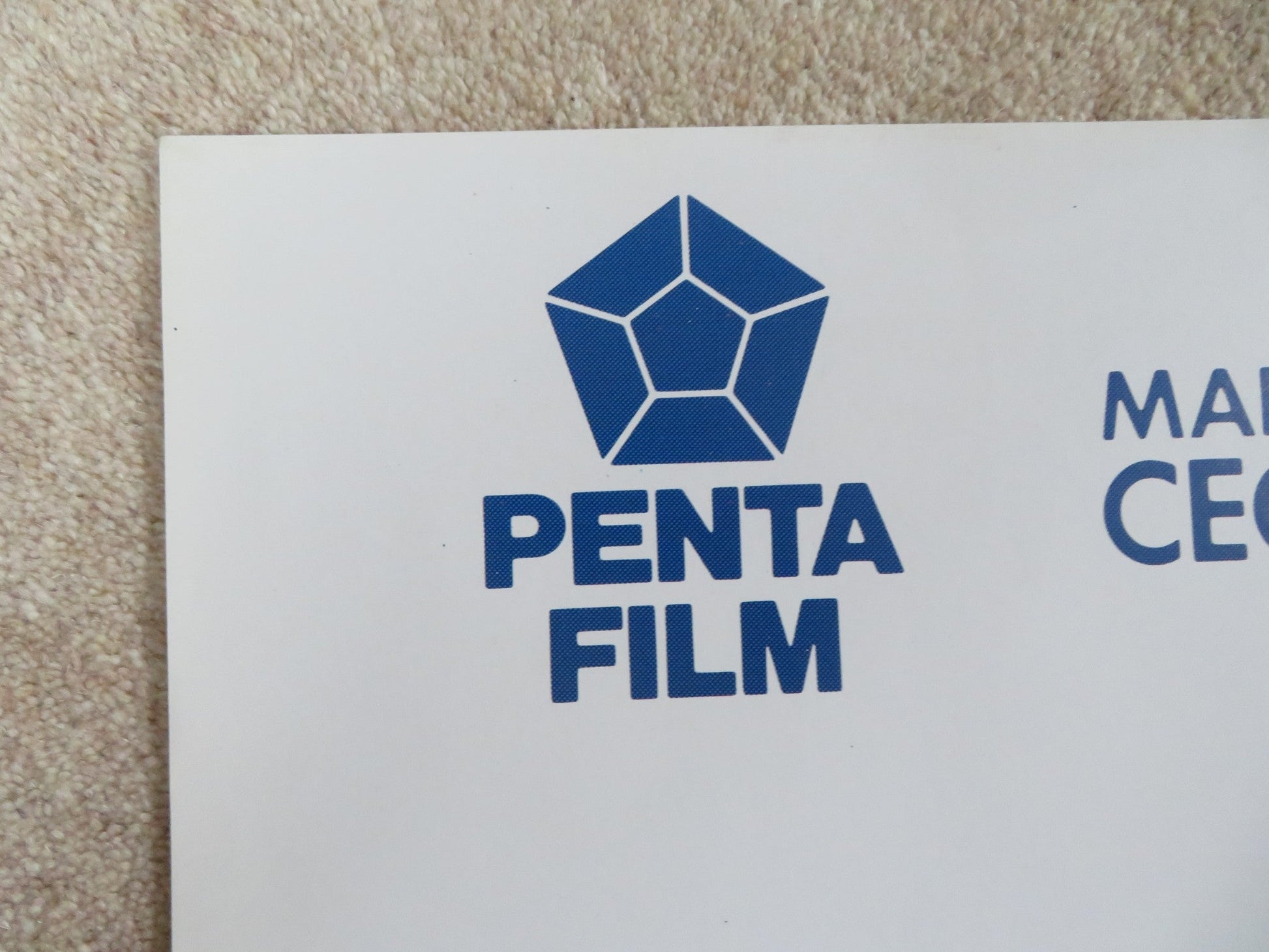 NEW WAVE ITALIAN 2 FOGLIO POSTER ALAIN DELON DOMIZIANA GIORDANO 1990 Rendezvous Cinema Movie posters