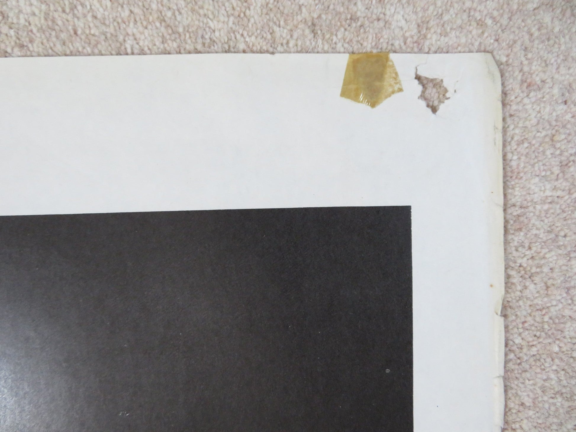 NEW YORK NIGHTS ITALIAN 2 FOGLIO POSTER CORRINE WAHL WILLEM DAFOE 1984 Rendezvous Cinema Movie posters