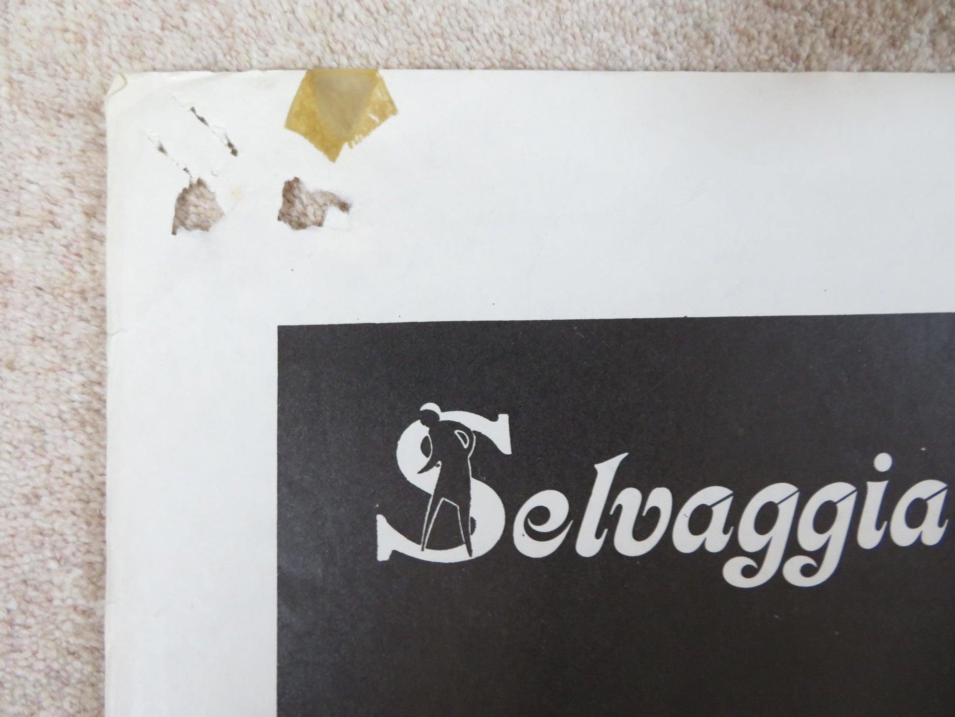 NEW YORK NIGHTS ITALIAN 2 FOGLIO POSTER CORRINE WAHL WILLEM DAFOE 1984 Rendezvous Cinema Movie posters