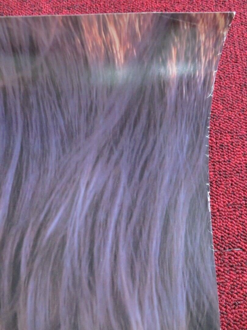 NIAGARA NIAGARA US ONE SHEET ROLLED POSTER ROBIN TUNNEY HENRY THOMAS 1997 Movie posters