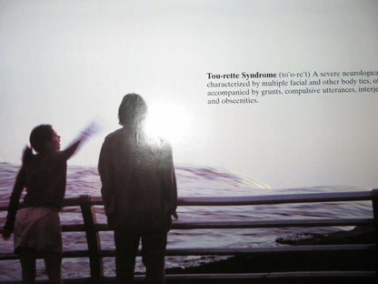 NIAGARA NIAGARA US ONE SHEET ROLLED POSTER ROBIN TUNNEY HENRY THOMAS Movie posters