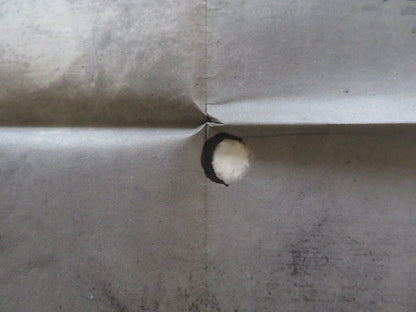 NICHT HINAUSLEHNEN GERMAN A1 (33"x 23") POSTER IVO GREGUREVIC 1977 - Rendezvous Cinema