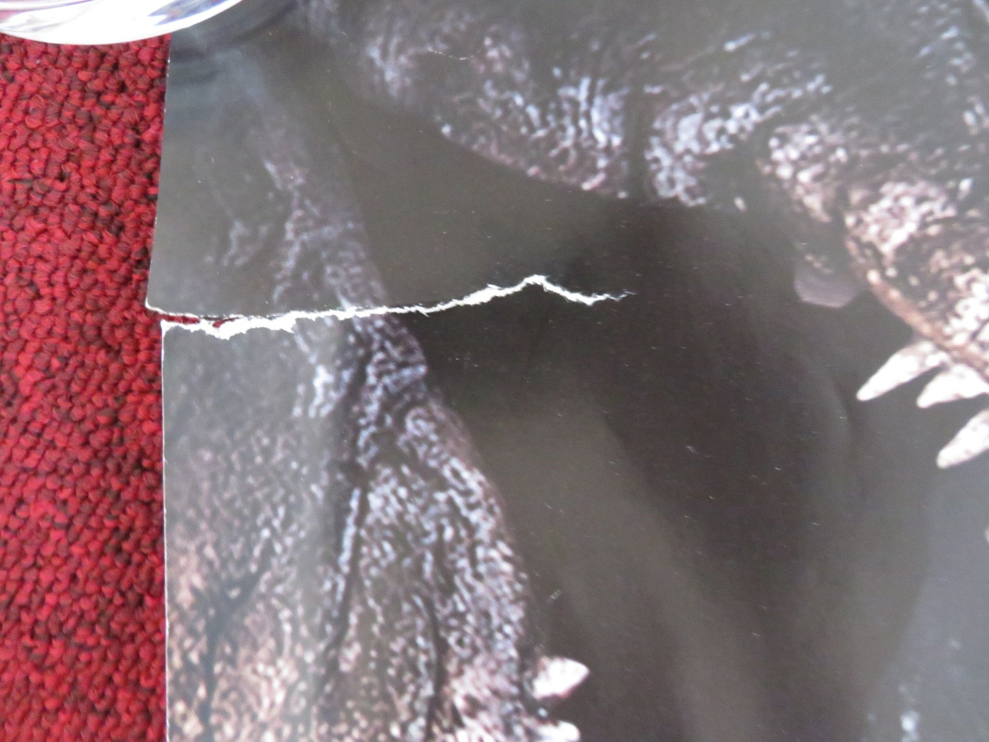 NIGHT AT THE MUSEUM 2: BATTLE OF THE... UK QUAD (30"x 40") ROLLED POSTER 2009 Rendezvous Cinema Movie posters