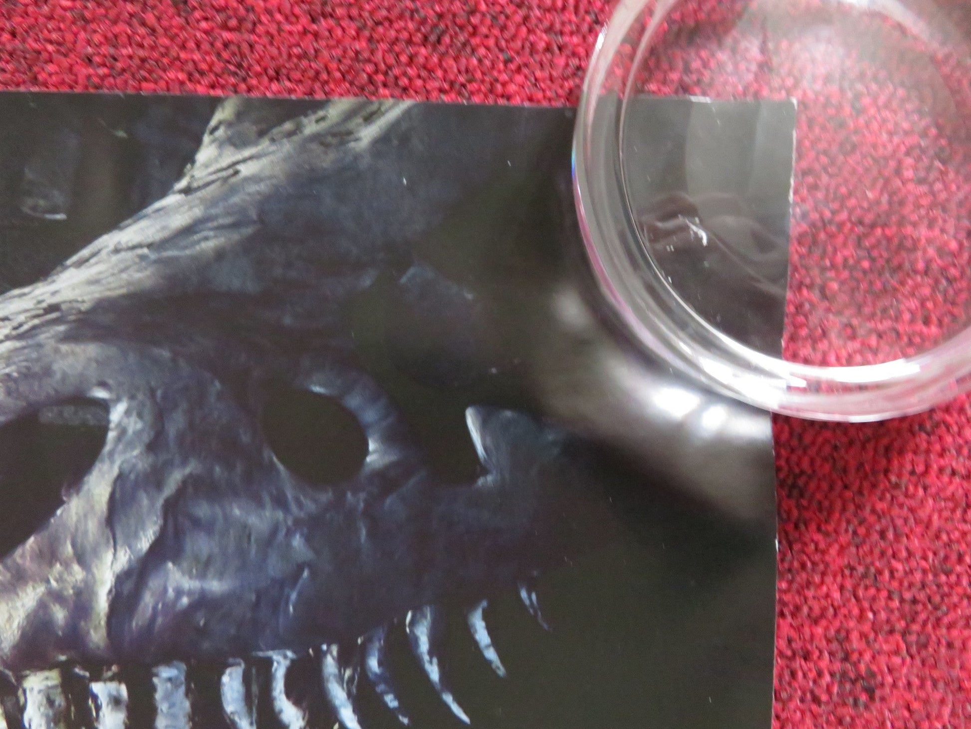 NIGHT AT THE MUSEUM: SECRET OF THE TOMB UK QUAD (30"x 40") ROLLED POSTER 2014 Rendezvous Cinema Movie posters