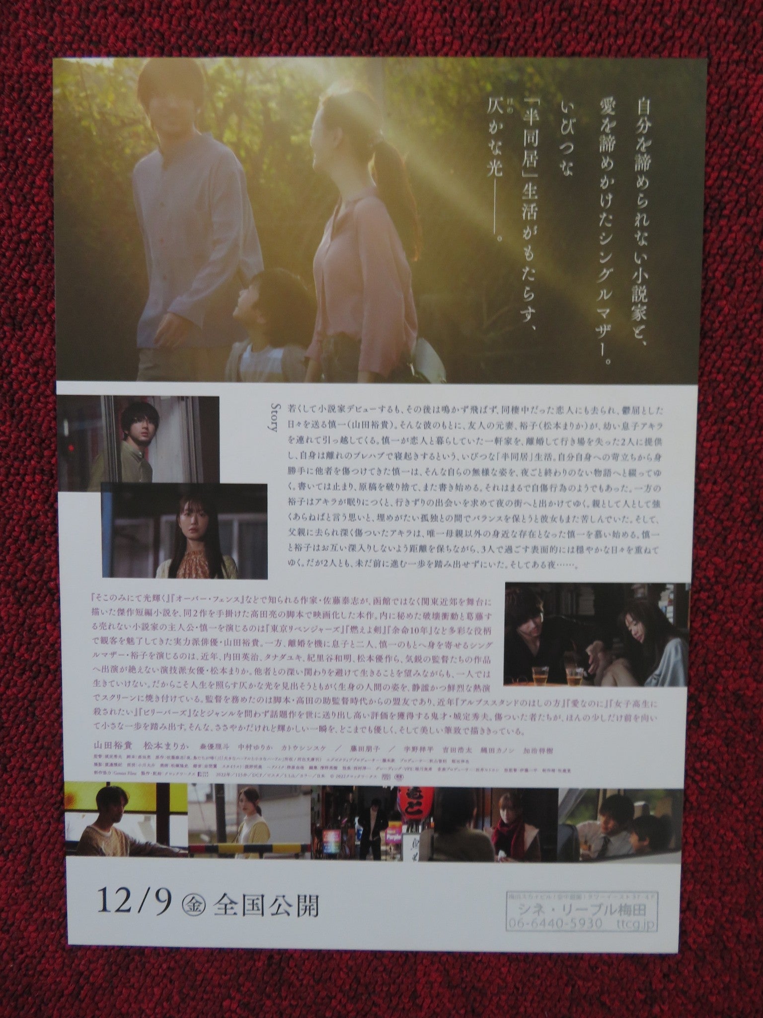 NIGHT, BIRDS SCREAM JAPANESE CHIRASHI (B5) POSTER YAMADA YUKI MARIKA 2022 Rendezvous Cinema Movie posters