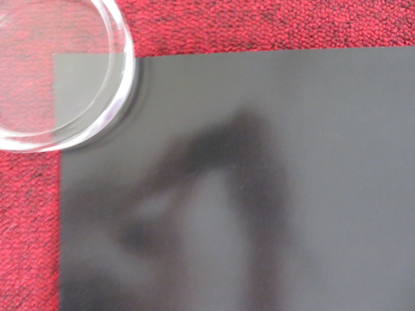 NIGHT RAIDERS - B US ONE SHEET ROLLED POSTER ELLE - MAIJA TAILFEATHERS 2021 Rendezvous Cinema Movie posters