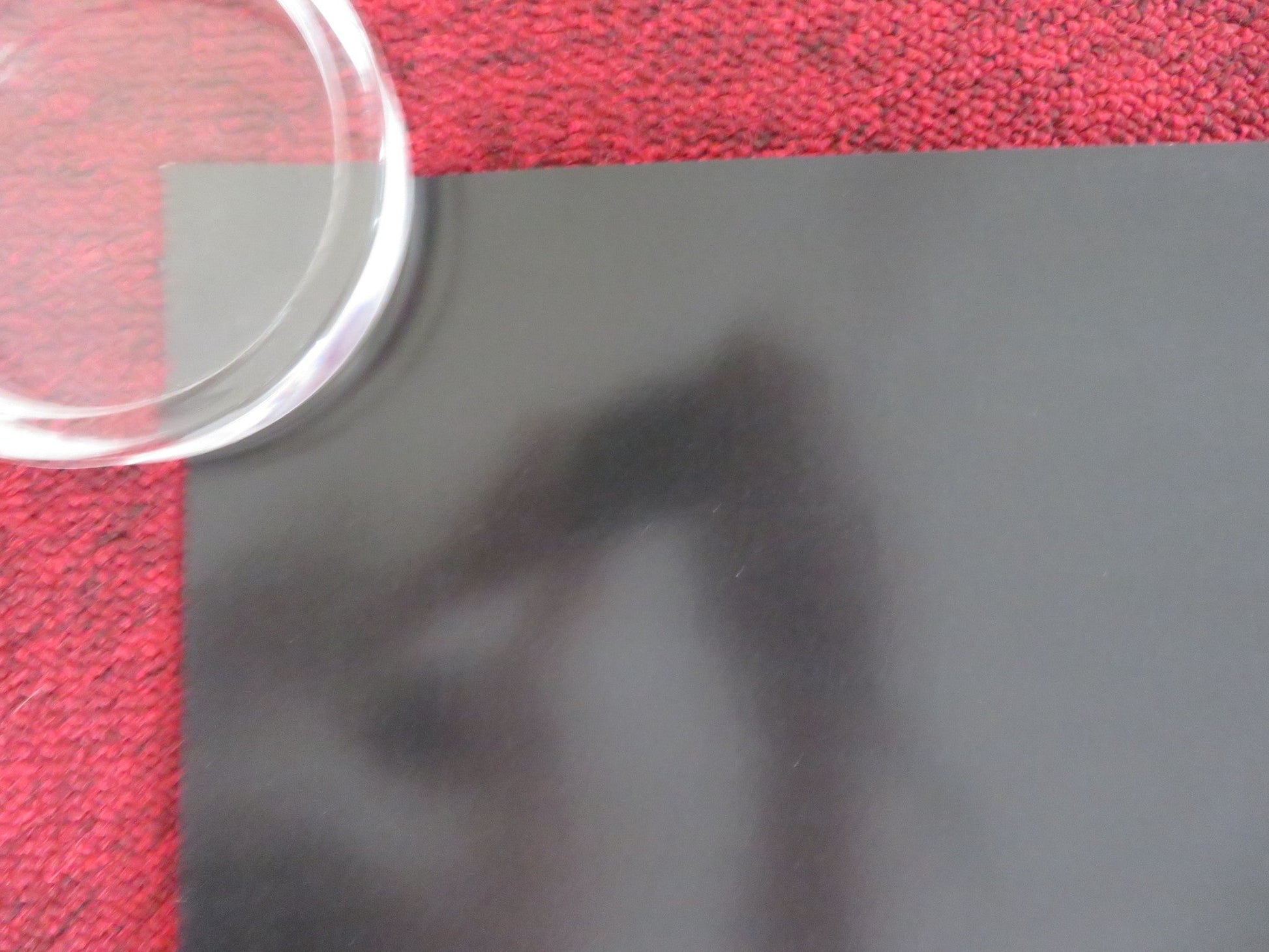 NIGHT RAIDERS - B US ONE SHEET ROLLED POSTER ELLE - MAIJA TAILFEATHERS 2021 Rendezvous Cinema Movie posters