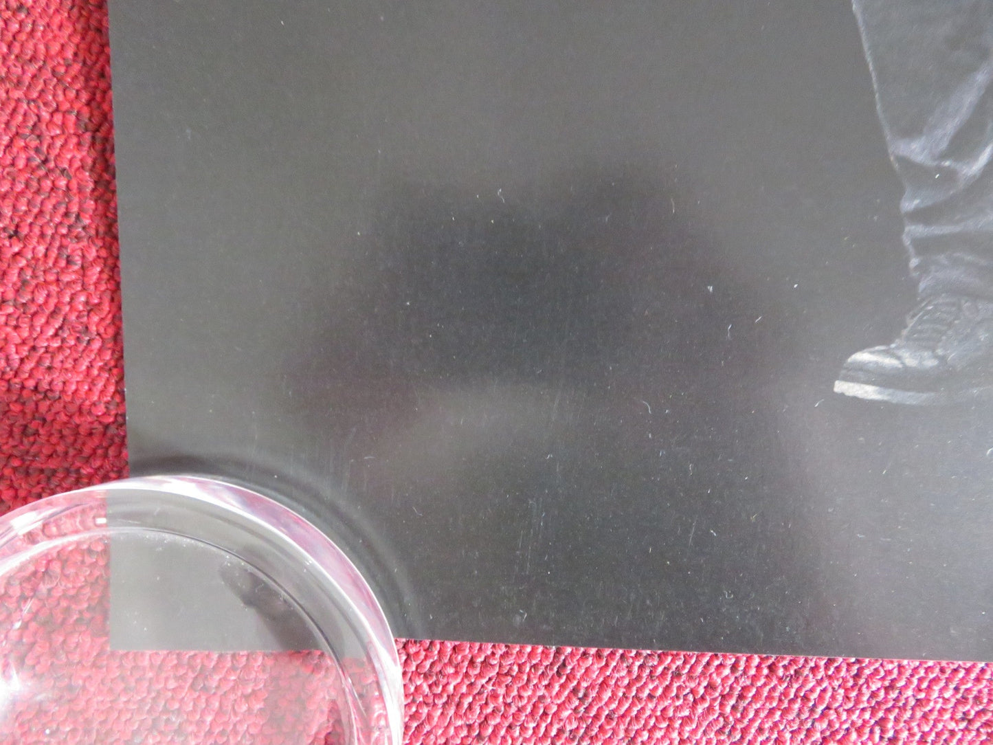 NIGHT RAIDERS - B US ONE SHEET ROLLED POSTER ELLE - MAIJA TAILFEATHERS 2021 Rendezvous Cinema Movie posters