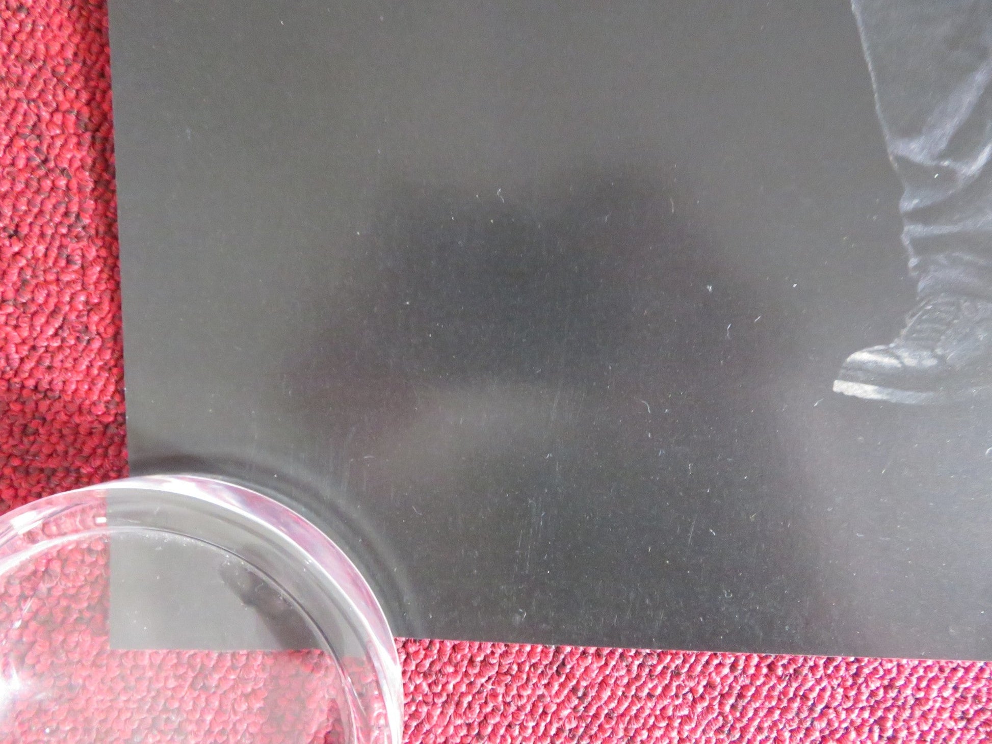 NIGHT RAIDERS - B US ONE SHEET ROLLED POSTER ELLE - MAIJA TAILFEATHERS 2021 Rendezvous Cinema Movie posters