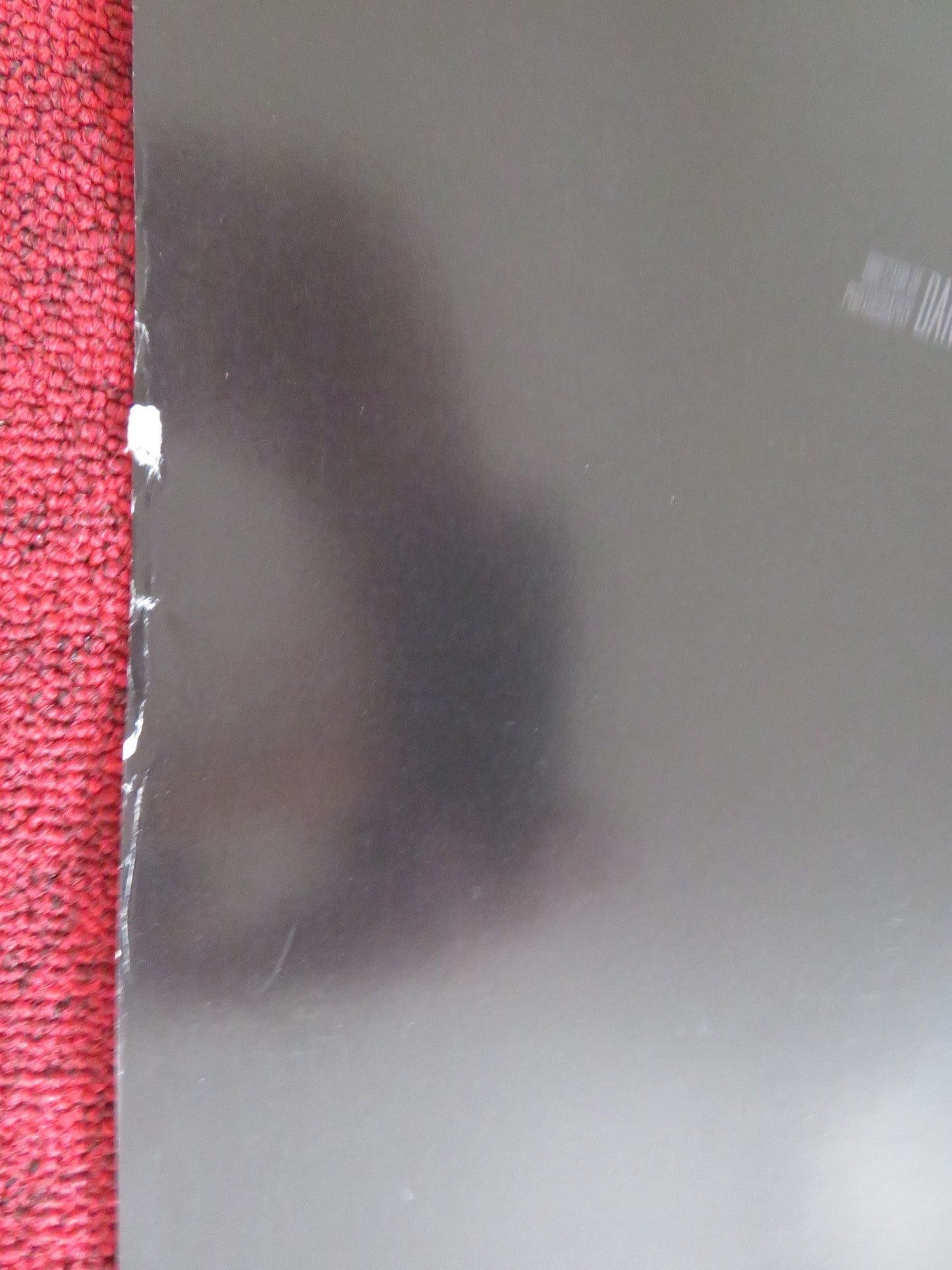 NIGHT RAIDERS - B US ONE SHEET ROLLED POSTER ELLE - MAIJA TAILFEATHERS 2021 Rendezvous Cinema Movie posters