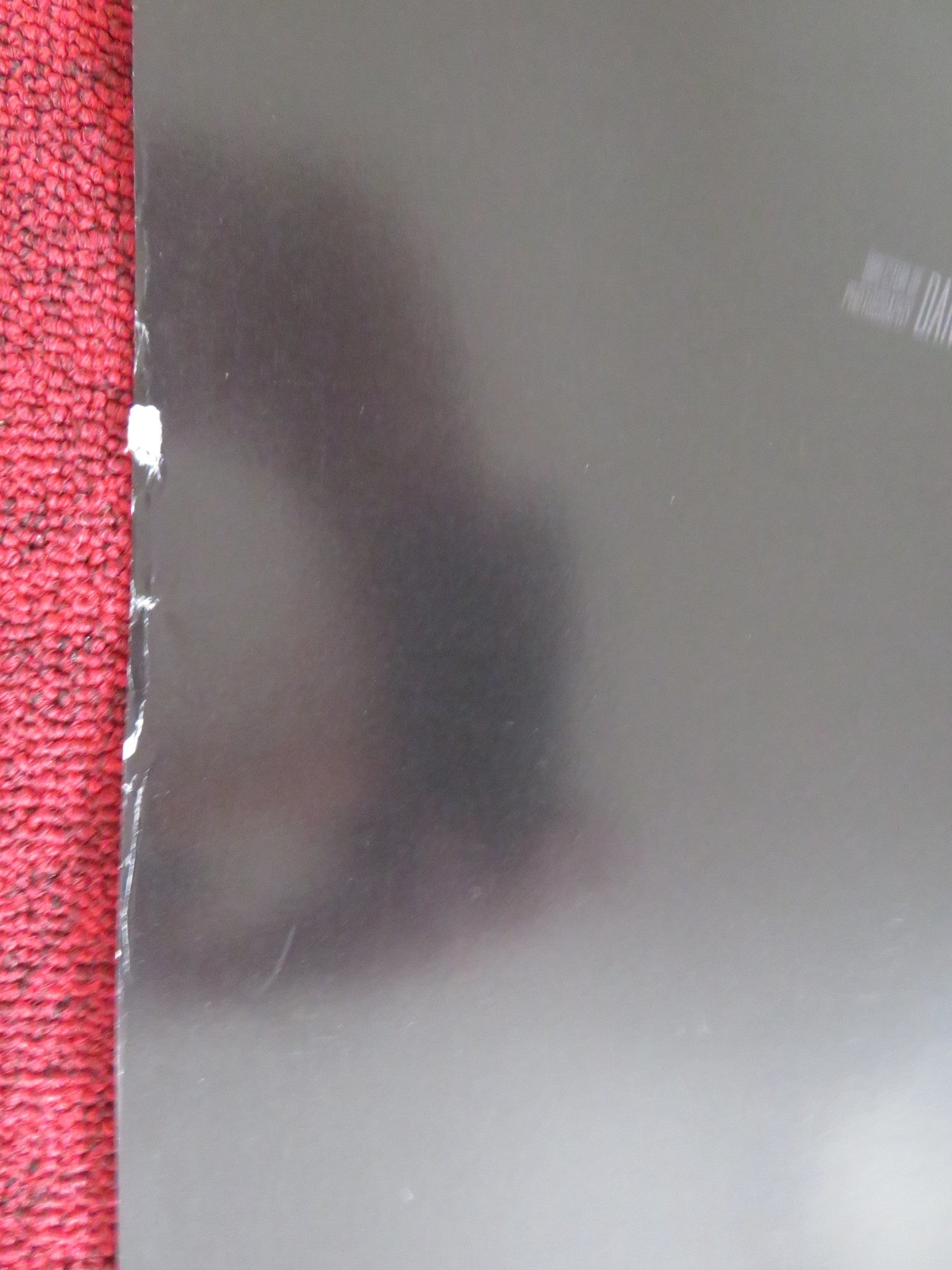 NIGHT RAIDERS - B US ONE SHEET ROLLED POSTER ELLE - MAIJA TAILFEATHERS 2021 Rendezvous Cinema Movie posters